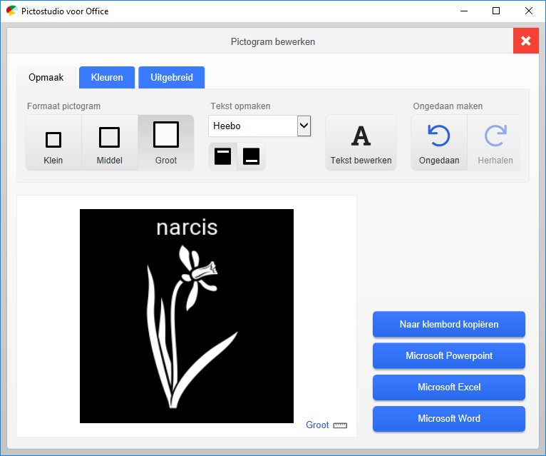 Screenshot pictogram 'narcis' bewerken in Pictostudio voor Office.