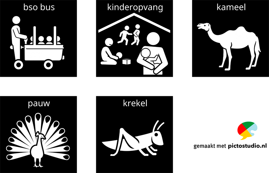Visitaal-pictogrammen bso bus, kinderopvang, kameel, pauw en krekel.