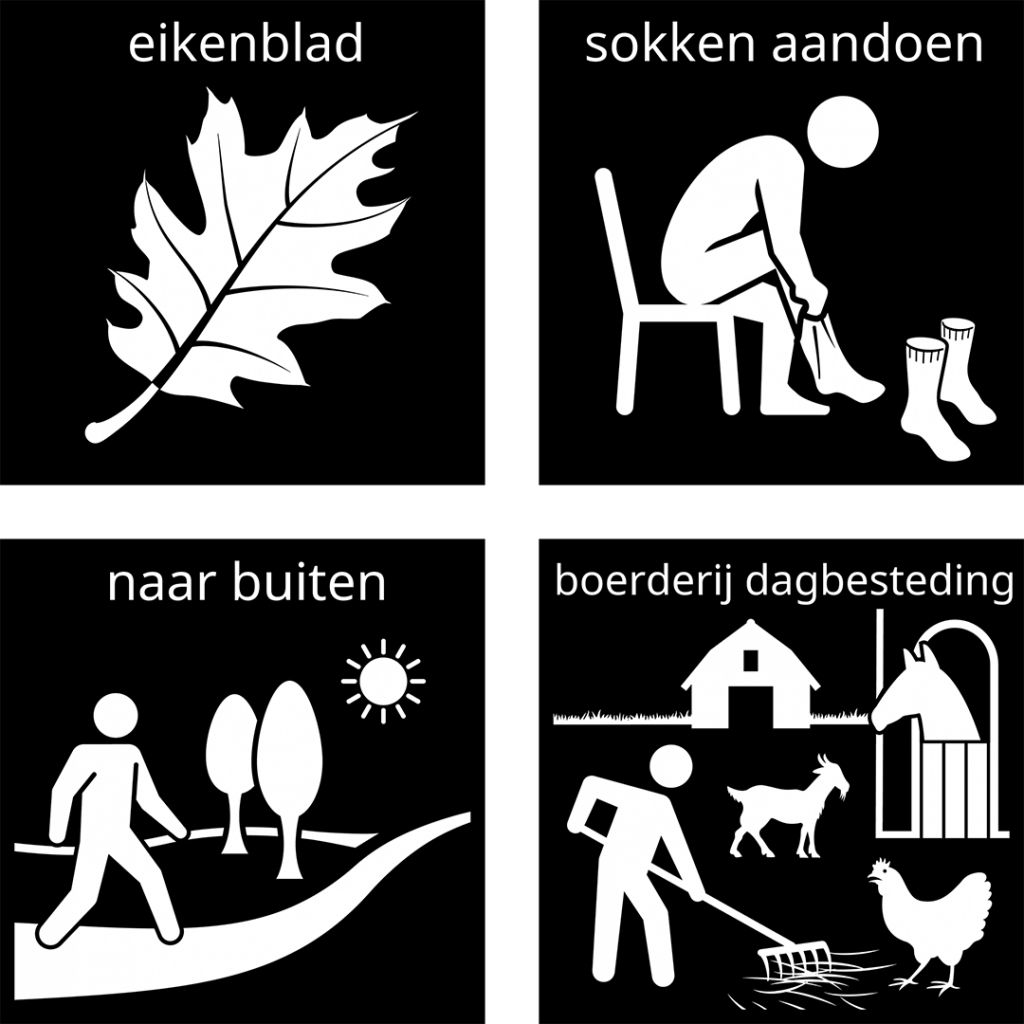 Visitaal-pictogrammen voor eikenblad, sokken aan doen, naar buiten en boerderij dagbesteding.