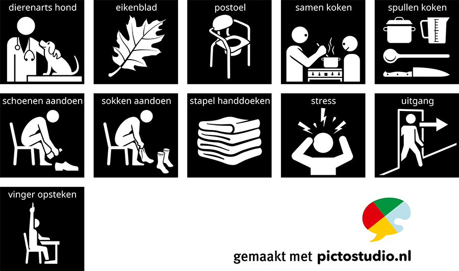 Visitaal-pictogrammen voor dierenarts hond, eikenblad, postoel, samen koken, schoenen en sokken aandoen, stapel handdoeken, stress, uitgang en vinger opsteken.